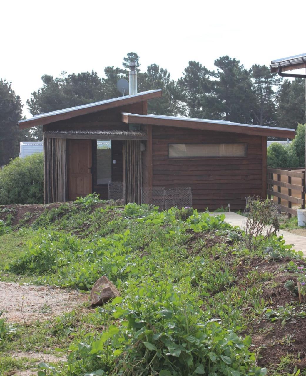 Cabanas Grulla Pichilemu Buitenkant foto